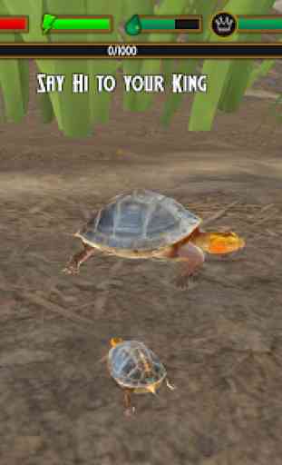 Box Turtle Simulator 3