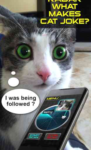 Radar What Makes Cat Joke 1
