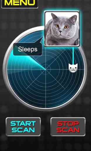 Radar What Makes Cat Joke 2