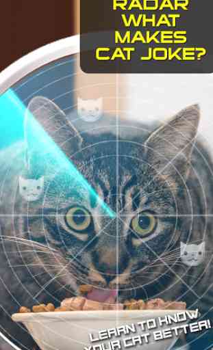 Radar What Makes Cat Joke 3