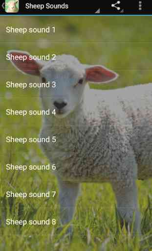 Sheep Sounds 2
