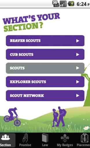 My Badges - UK Scout Programme 1