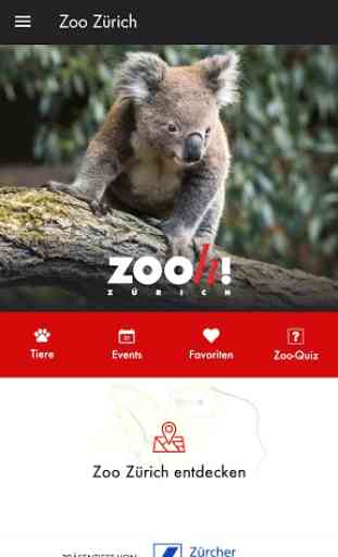 Zoo Zürich 1