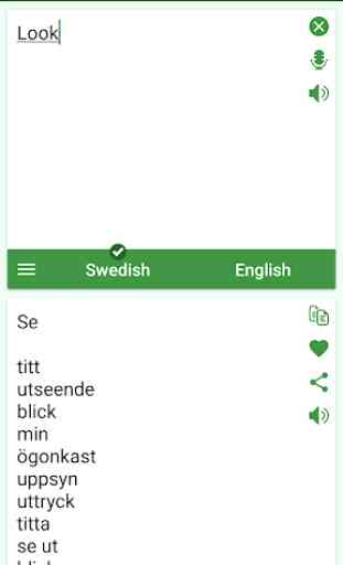 Swedish - English Translator 3