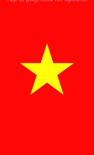 Chao co Viet Nam 1