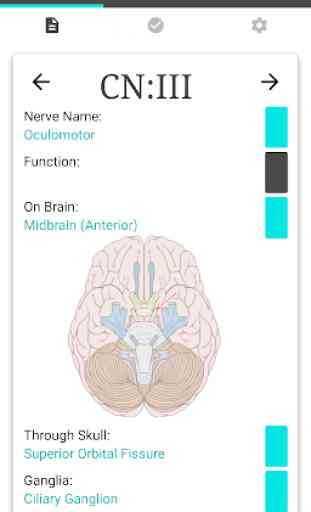 Cranial Nerves Flashcards 2