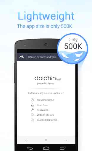 Dolphin Zero Incognito Browser 1