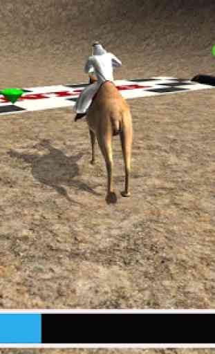 carrera de camellos 2