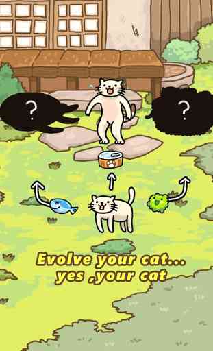 Cat Evolution World 2