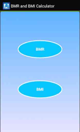 BMI and BMR Calculator 2