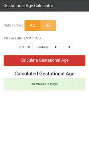 Gestational Age 1