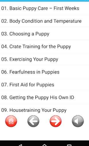 Puppy Care: Full Healthy Guide 1