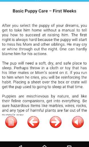 Puppy Care: Full Healthy Guide 2