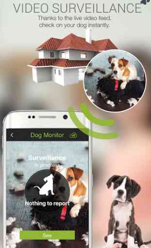Dog Monitor: Video Surveillance Dogs, Cats & Pets 2