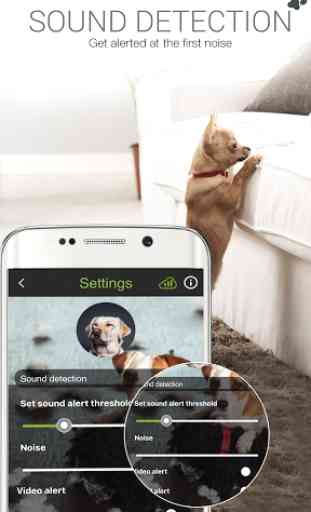 Dog Monitor: Video Surveillance Dogs, Cats & Pets 4