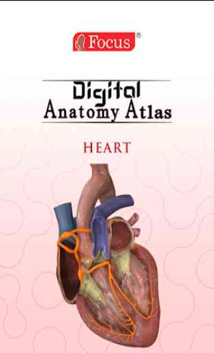 HEART - Digital Anatomy Atlas 1