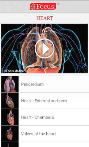 HEART - Digital Anatomy Atlas 2