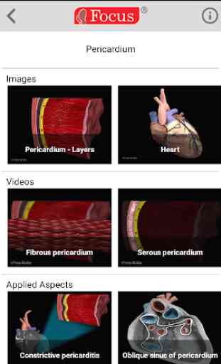 HEART - Digital Anatomy Atlas 3