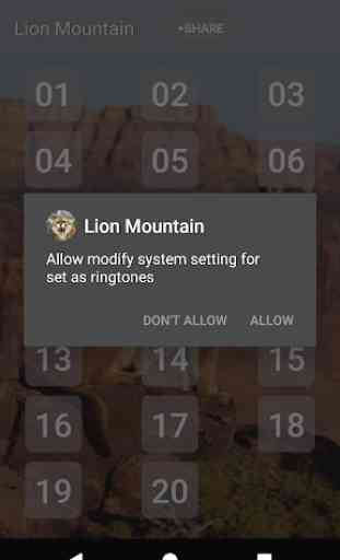 Mountain Lion Sonidos 3