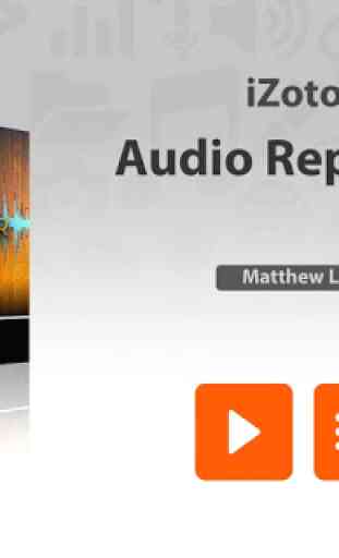 Audio Repair Toolbox For RX3 1