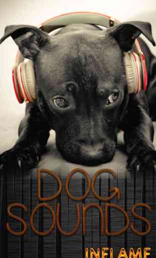 Sonidos para perros 1