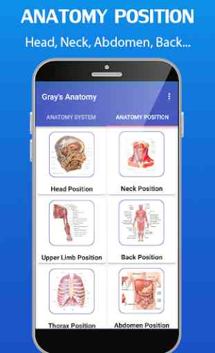 Gray's Anatomy - Anatomy Atlas 2020 2
