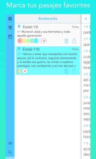 New International Version (NIV Bible) in Spanish 3
