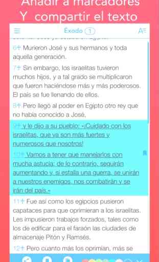 New International Version (NIV Bible) in Spanish 4