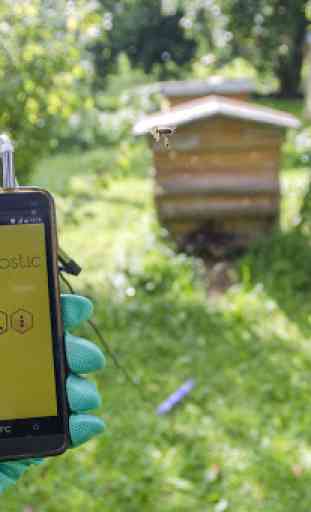 Beegnostic (Demo) - bee colony sound analyzer 1