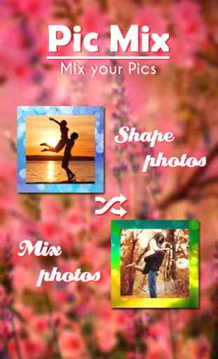 Pic Mix - Photo Mixture 1