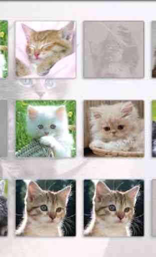 Cats Memory Game Free 4