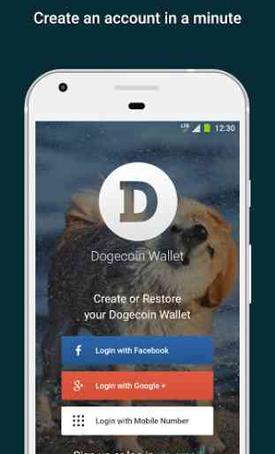 Dogecoin Wallet 1