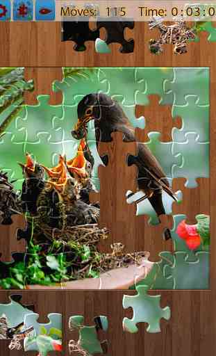 Aves Jigsaw 1