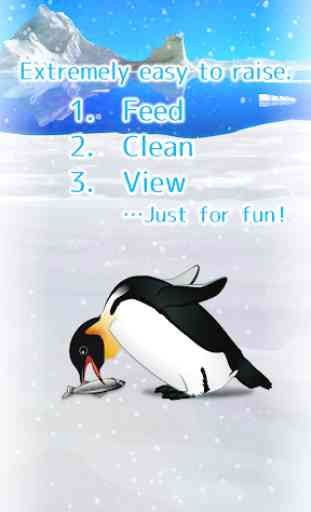 Penguin Pet 2