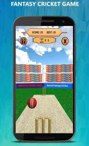 Bowled 3D - Cricket Game 1