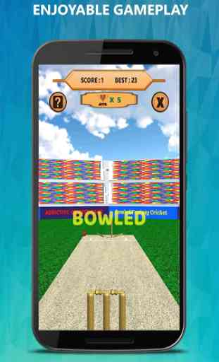 Bowled 3D - Cricket Game 2