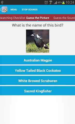Australian Birds Sounds 4