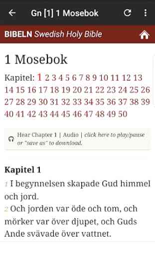 Svenska Bibeln 4
