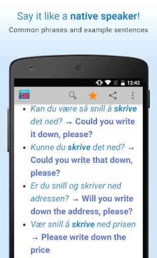Norwegian Dictionary 3