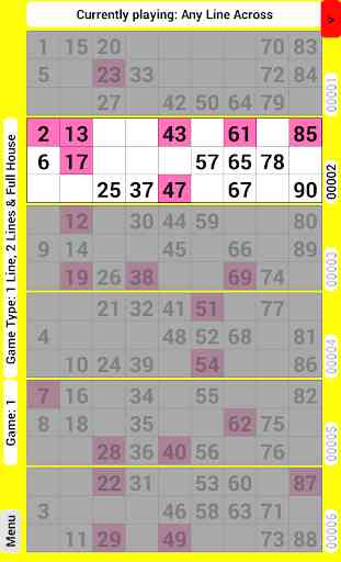 Bingo Tickets 90 4