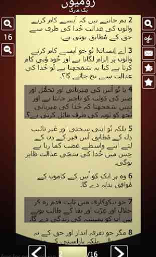 Urdu Bible 4