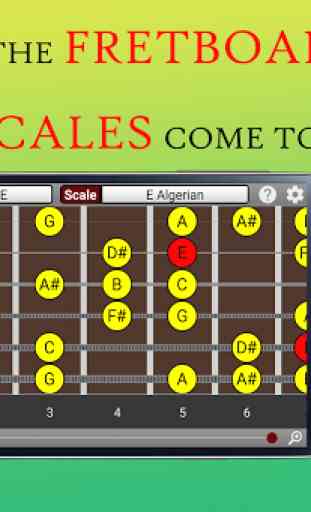 Visual Scales: Guitar 1