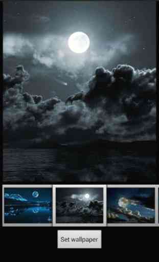Noche la Luna Llena Wallpaper 2