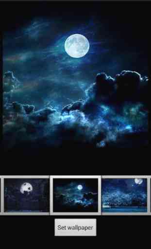 Noche la Luna Llena Wallpaper 4
