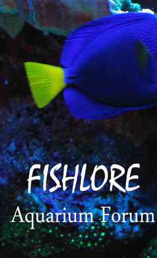 Fish Lore Aquarium Forum 1