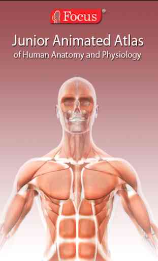 Anatomy Atlas 1