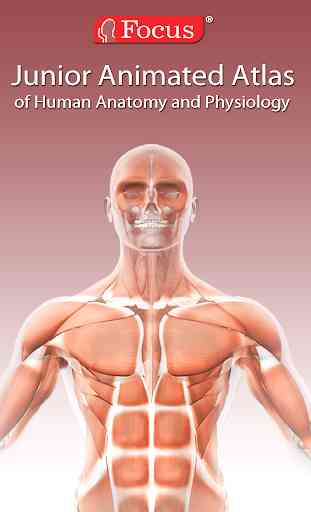Anatomy Atlas 3