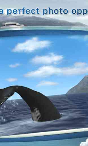 REAL WHALES Find the cetacean! 3