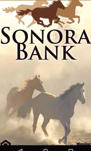 Sonora Bank Mobile 1