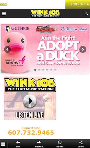 Wink 106 (WNKI FM) 3